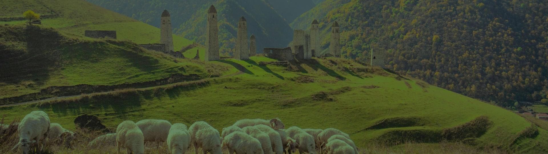 Фоновое изображение слайда.