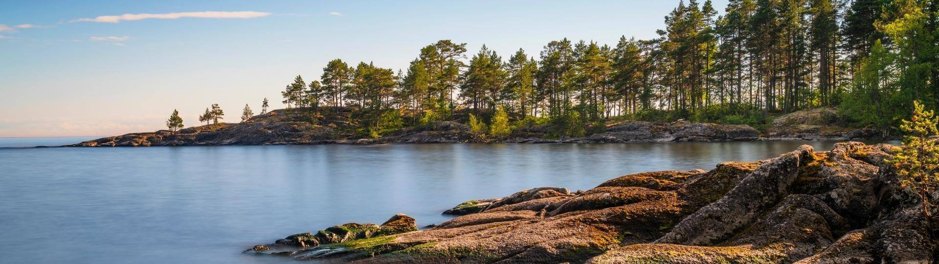 Фоновое изображение слайда.