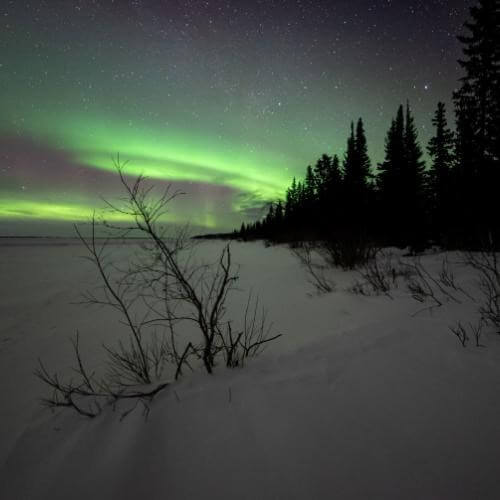 Источник: от партнёра       