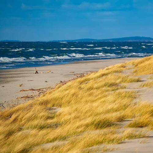 Фото: Туристский информационный центр Калининградской области