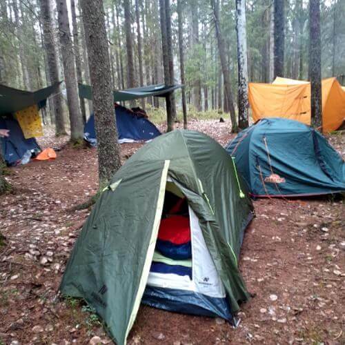 Фото от партнёра.