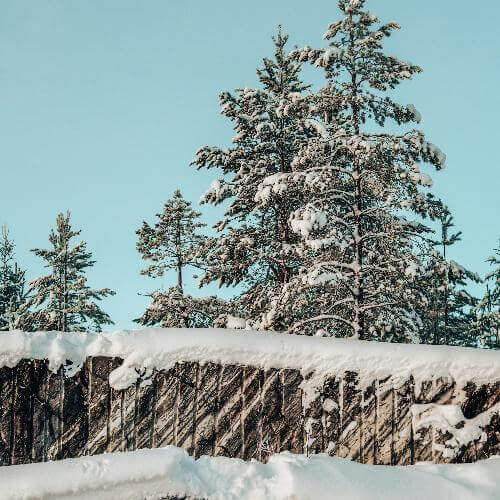 Источник: Unsplash