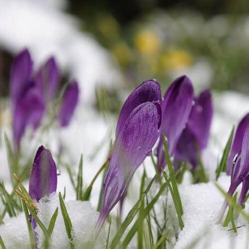 Источник: Pixabay