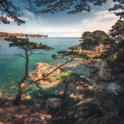 Дальневосточный морской биосферный заповедник. Фото: Андрей Кровлин, CC BY-SA 4.0 https://creativecommons.org/licenses/by-sa/4.0, via Wikimedia Commons