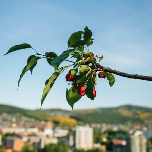 Источник: Unsplash