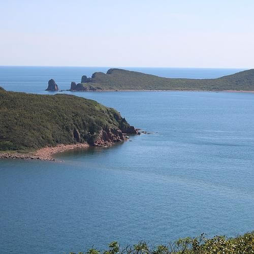 О. Желтухина. Фото: Романвер, CC BY-SA 4.0 https://creativecommons.org/licenses/by-sa/4.0, через Викисклад