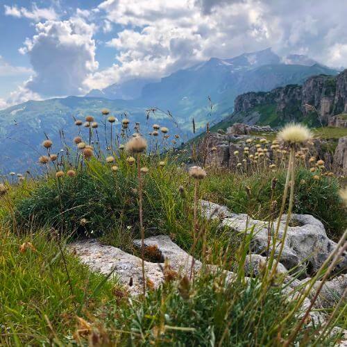 Фото: от партнера