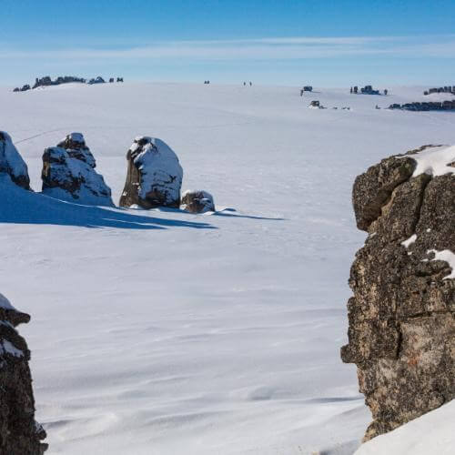 Фото от партнёра.