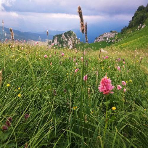 Фото: от партнёра