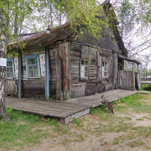 Фото собственное.