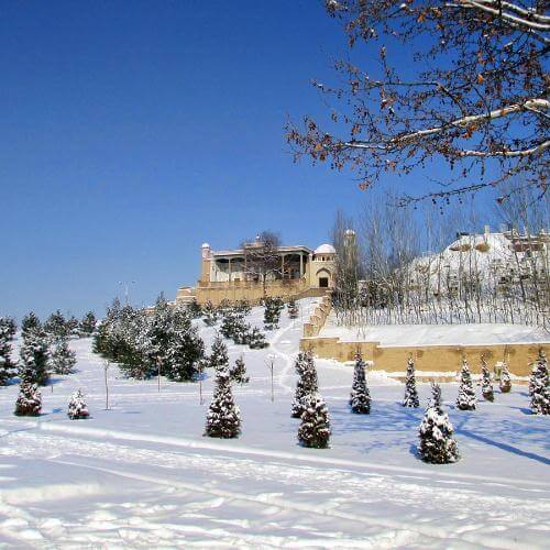 Фото от партнёра.