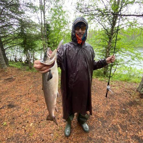 Фото от партнёра.