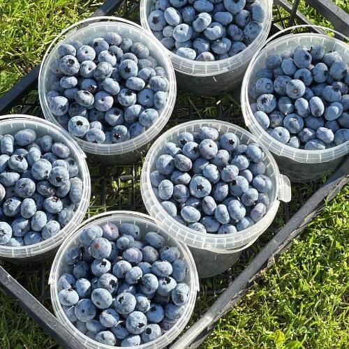 Фото: от партнера