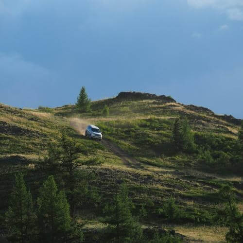 Источник: Unsplash