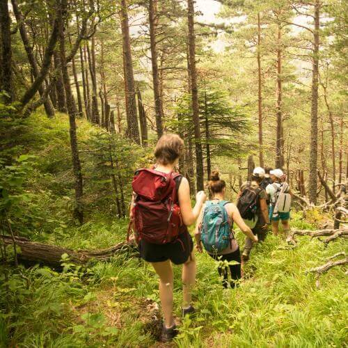 Фото: от партнера