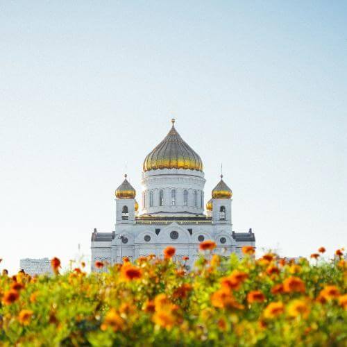 Источник: Unsplash