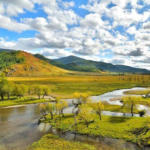 Фото: Александр Байдуков, CC BY-SA 4.0 https://creativecommons.org/licenses/by-sa/4.0, via Wikimedia Commons