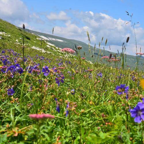 Фото: от партнёра