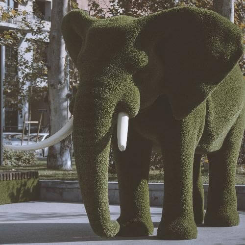 Источник: Pixabay