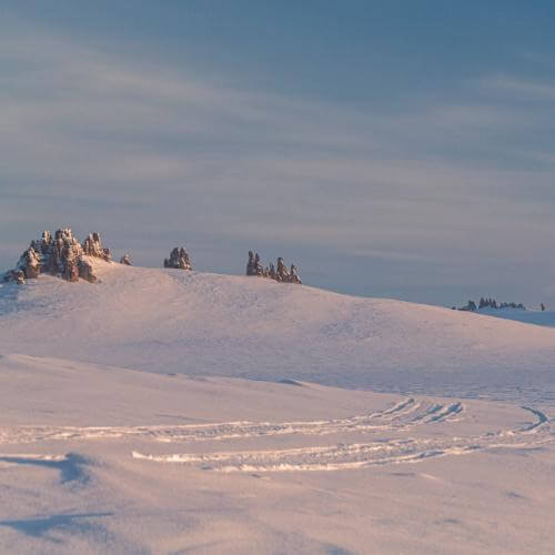 Фото от партнёра.