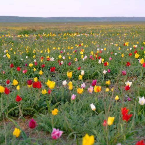 Фото от партнёра.