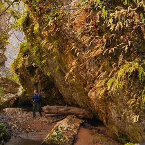 Фото: от партнёра.