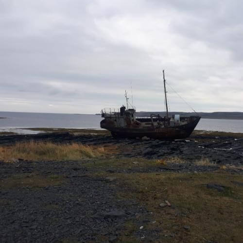 Фото: от партнера