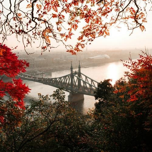 Источник: Unsplash