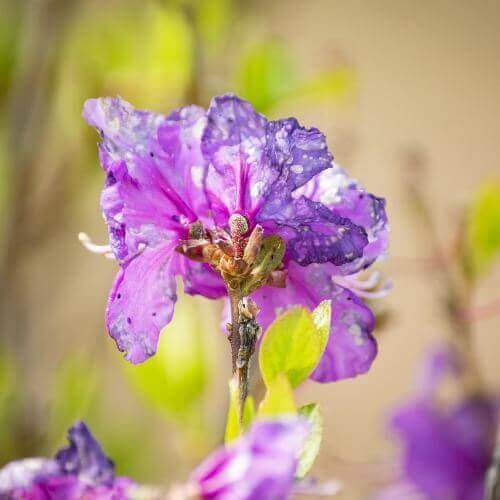 Источник: Pixabay