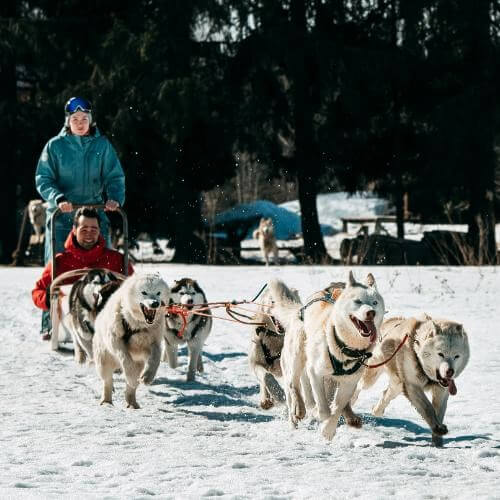 Фото от партнёра.