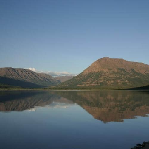 Источник: от партнёра         