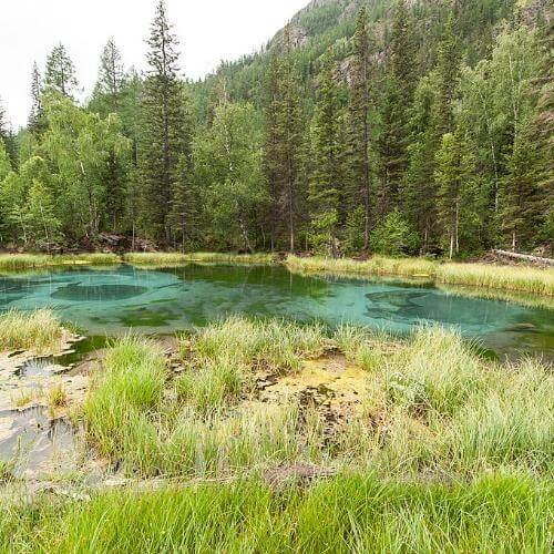 Фото: Alexey from Ekaterinburg, Russia, CC BY 2.0 https://creativecommons.org/licenses/by/2.0, через Викисклад