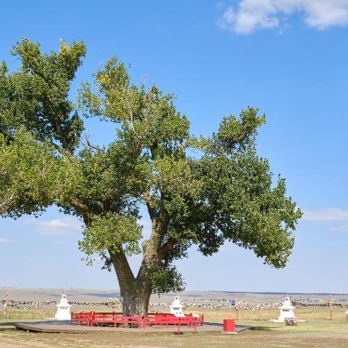 Фото от партнёра.