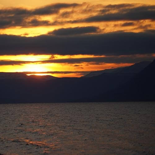 Фото: от партнера