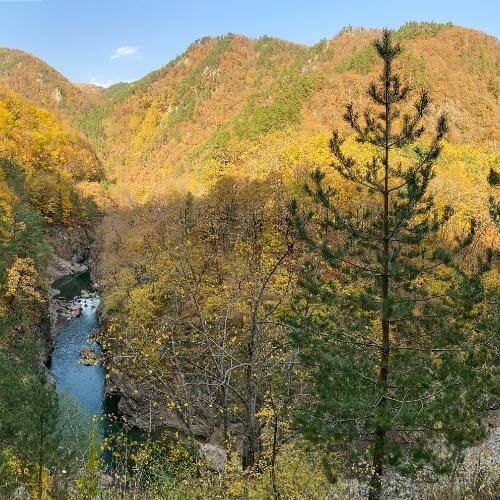 Фото: от партнёра.