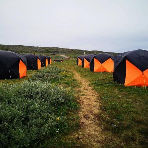 Фото: от партнера