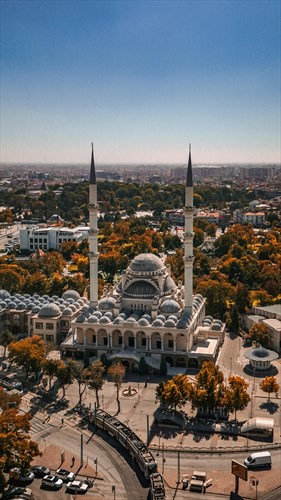 Источник: Pexels