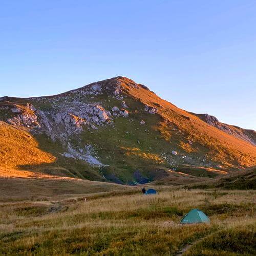 Фото: от партнёра.