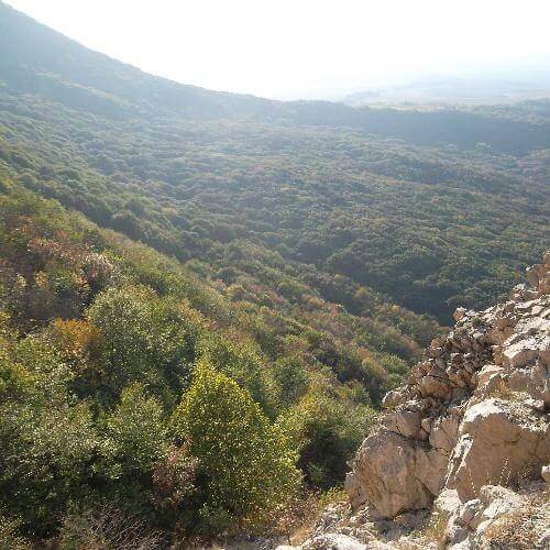 Фото: Эхнатон, CC BY-SA 4.0 https://creativecommons.org/licenses/by-sa/4.0, через Викисклад