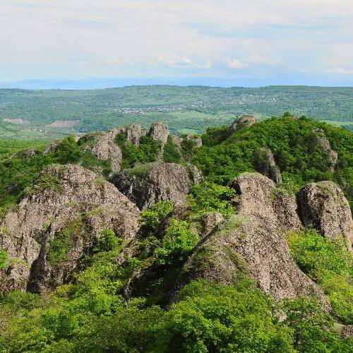 Фото: David Talakhadze, CC BY-SA 4.0 https://creativecommons.org/licenses/by-sa/4.0, через Викисклад