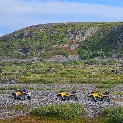 Фото: от партнера