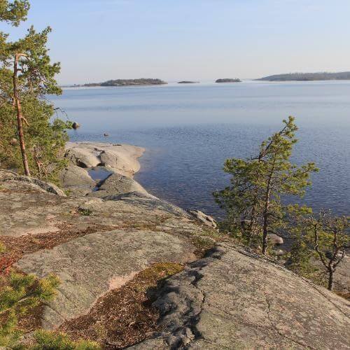 Фото от партнёра.