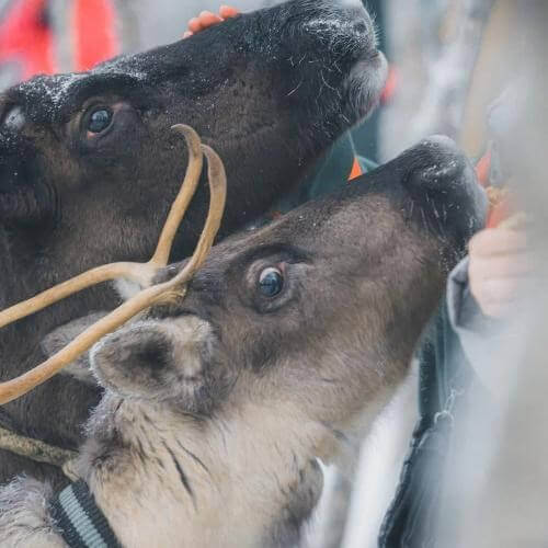 Фото от партнёра.