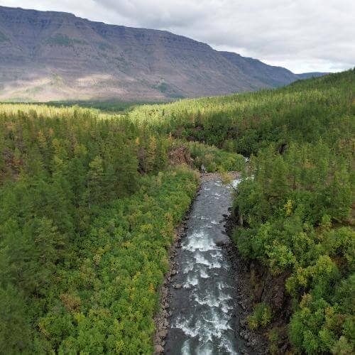 Фото: от партнера