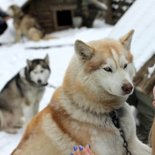 Фото: от партнёра.   