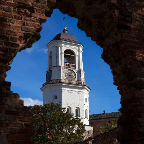 Image by Olga Fil from Pixabay