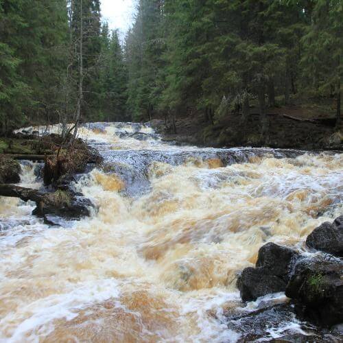 Фото от партнёра.