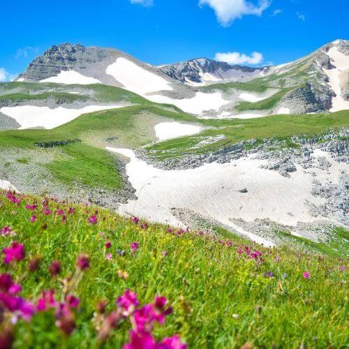 Фото: от партнёра.