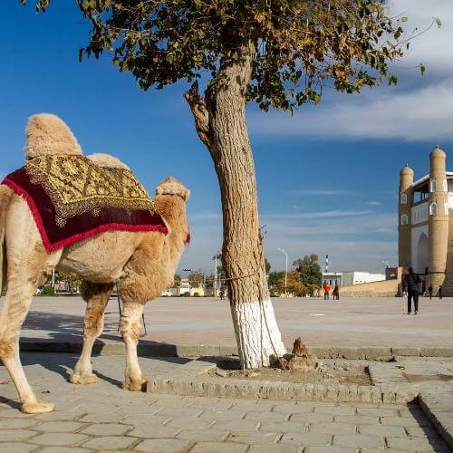 Фото от партнёра.