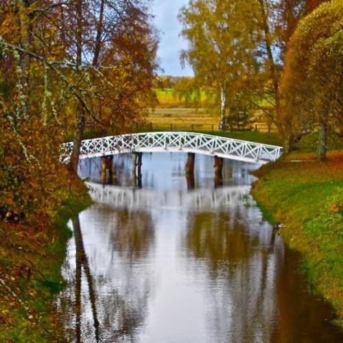 Фото: Mikepaul, CC BY 3.0 https://creativecommons.org/licenses/by/3.0, via Wikimedia Commons